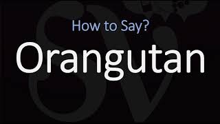 How to Pronounce Orangutan CORRECTLY [upl. by Koralle45]