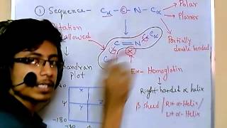 Peptide bond [upl. by Evander]