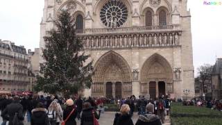 All bells ringing at Notre Dame Cathedral in Paris [upl. by Nedah]