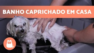 Como dar banho em CACHORRO em CASA 🐶🚿 Técnica Profissional [upl. by Seroled118]