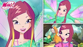 Winx  All Season 01 Transformations 4Kids [upl. by Aelegna410]