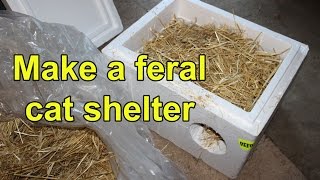 Make a feral cat shelter from a styrofoam cooler filled with straw TNR rescue [upl. by Wemolohtrab]