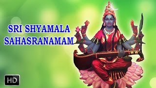 Sri Shyamala Sahasranamam  Powerful Mantra  DrR Thiagarajan [upl. by Debera245]