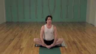 10 minute Beginning Iyengar  FREE Iyengar Yoga Class [upl. by Neumeyer686]