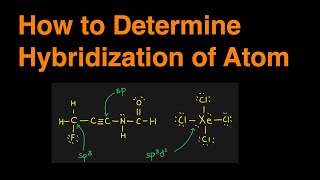 How to Determine the Hybridization of an Atom sp sp2 sp3 sp3d sp3d2 Practice Problem amp Example [upl. by Gratianna]