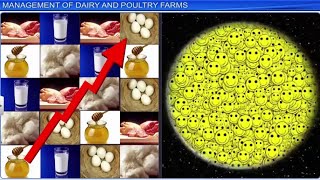 CBSE Class 12 Biology  Strategies for Enhancement In Food Production  Full Chapter  By Shiksha [upl. by Auhsej]