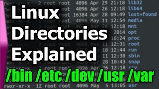 Linux File SystemStructure Explained [upl. by Masha]