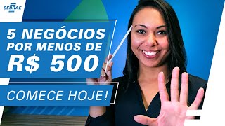 5 IDEIAS DE NEGÓCIOS para ABRIR com MENOS DE R 500 Reais 🚀 Pequenos NEGÓCIOS LUCRATIVOS [upl. by Ecidnarb]