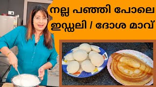 How To Make The Perfect Idli Dosa Batter അടിപൊളി ഇഡ്ഡലി  ദോശ മാവിന്റെ കൂട്ട്  Lekshmi Nair [upl. by Millwater]