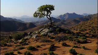 Richtersveld National Park and World Heritage Site [upl. by Amalburga]