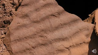 Primary Sedimentary Structures [upl. by Wallis]