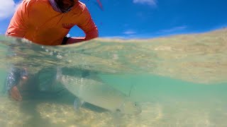 Bahamian Bonefish Fly Fishing [upl. by Inaj133]