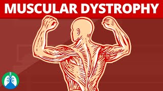 CONTRACCIÓN MUSCULAR FISIOLOGÍA GUYTON explicada FACIL ✅ [upl. by Yrehc]