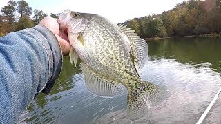 How To Locate and Catch Crappie In The Fall [upl. by Sivle]