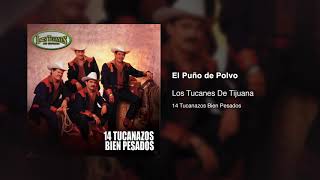 El Puño De Polvo – Los Tucanes De Tijuana Audio Oficial [upl. by Kostival]