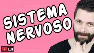 SISTEMA NERVOSO  FISIOLOGIA  Aula  Biologia com Samuel Cunha [upl. by Ettessil]