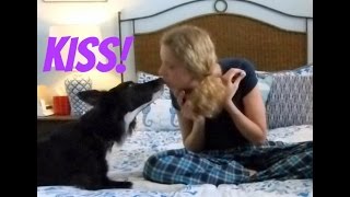 Teach Your Dog to Kiss You [upl. by Avery]