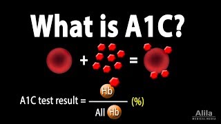 A1C Test for Diabetes Animation [upl. by Story523]