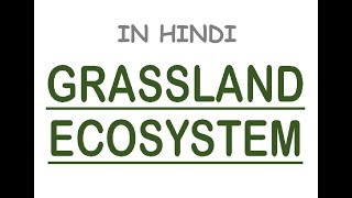 Grassland Ecosystem Tropical amp Temperate Explained With MAPS In Hindi [upl. by Yren]