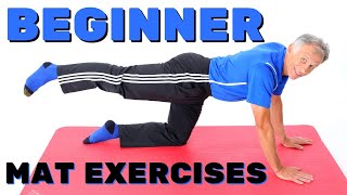 Top 10 MatFloor Exercises for Beginners or Out of Shape NO Equipment [upl. by Dalury]