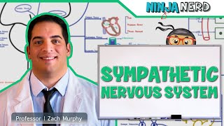 Neurology  Sympathetic Nervous System [upl. by Laicram834]