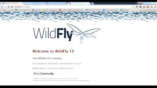 How to configure SSL in WildFly 10 standalone mode and change default ssl port to 443 [upl. by Reggie]