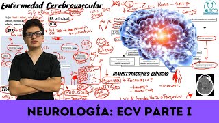 Repaso Neurología Enfermedad cerebrovascular  Parte 1 [upl. by Cesar109]