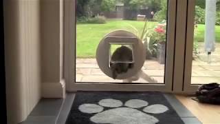 SureFlap Microchip Pet Door Glass Installation [upl. by Yrotciv]