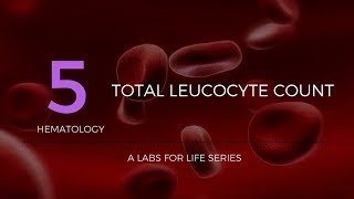 Total Leucocyte Count [upl. by Wettam449]