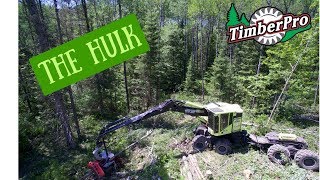 TimberPro TF830C Combo HarvesterForwarder The Hulk [upl. by Aileen768]