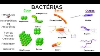 Aula 03 Microbiologia  Bactérias [upl. by Murry577]