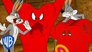 Looney Tunes  Gossamer Gets a Makeover  WB Kids [upl. by Nnylatsyrc765]