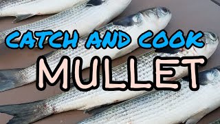 How To Cook Mullet Two Recipes [upl. by Eilegna166]