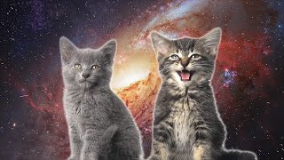 Space Cats — Magic Fly [upl. by Corsiglia183]