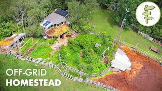 12 YEARS Living OffGrid on a Sustainable Homestead in a SelfBuilt Cob Home [upl. by Batsheva]