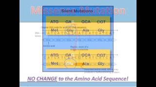 Substitution Mutations [upl. by Hazel]