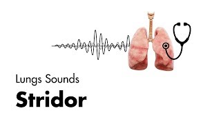 Stridor  Lung Sounds  MEDZCOOL [upl. by Hcirteid]