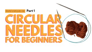 Circular Knitting Needles for Beginners part 1 How to do the Long Tail Cast On [upl. by Pacorro]