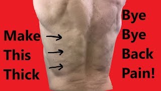 Erector Spinae Exercises The Ultimate Guide to a Stronger Back [upl. by Oirotciv]