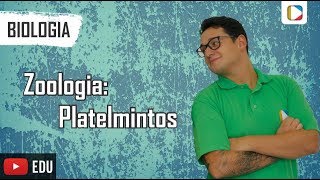 Biologia  Zoologia Platelmintos [upl. by Ludwigg]