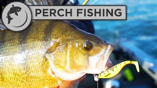 How To Set Up a Lure for Perch Fishing [upl. by Iblok795]