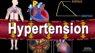 How blood pressure works  Wilfred Manzano [upl. by Losse604]