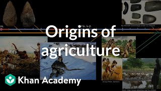 Origins of agriculture  World History  Khan Academy [upl. by Nyletac]