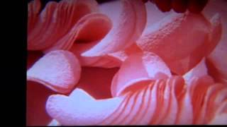 Pringles jingle commercial 60s [upl. by Greene]