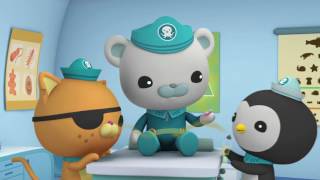 Octonauts and the Jellyfish Bloom  Full Episode [upl. by Cleopatra]