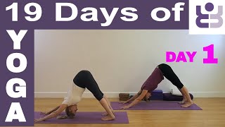 19 Days of Yoga  Day 1 Iyengar Yoga Sequence [upl. by Aihsaei]