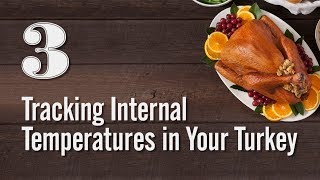 Turkey Tips  Tracking Internal Temperatures in Your Turkey [upl. by Wales334]