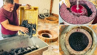 How to Make Wine in Qvevri  Red Wine Making Process [upl. by Emelen118]