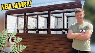 My NEW Finch Bird Breeding Aviaries [upl. by Gilemette]