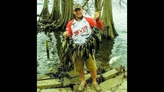 Crappie Fishing for black crappie at Reelfoot Lake April 12 2014 [upl. by Bohi]